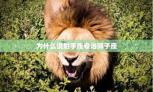 狮子座什么作用-狮子座专治什么星座