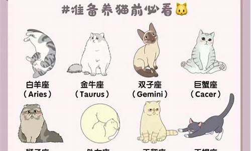 12星座的专属猫咪-12星座的守护神兽龙