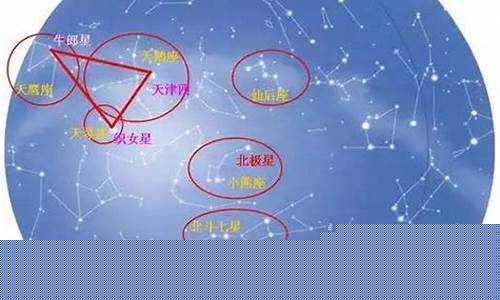 大熊星座中最亮的星是什么星-大熊星座中最亮的星