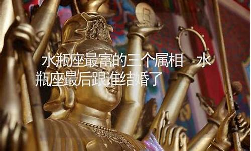 水瓶座最富的三个属相-水瓶座哪个血型最聪明