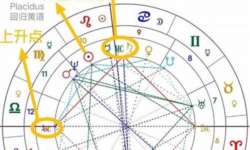 星盘宫位查询分析-星盘宫位吉凶