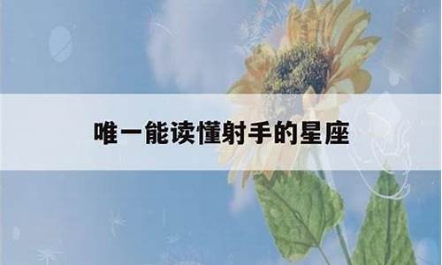 让射手到疯的星座是什么-让射手座抓狂