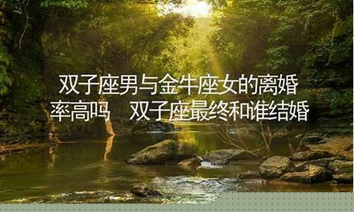 双子座最终和谁结婚-2024双子座躲不过的情劫