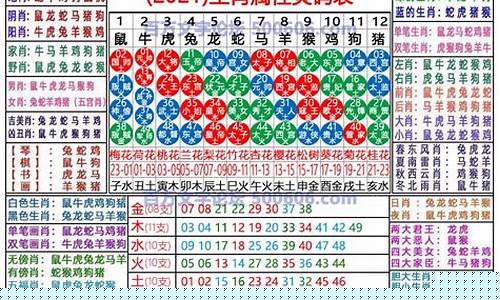 十二生肖2024年运势及运程完整-十二生肖2024年运势及运程完整八字网