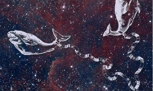 双鱼座一生的命运如何-双鱼座的命怎么样