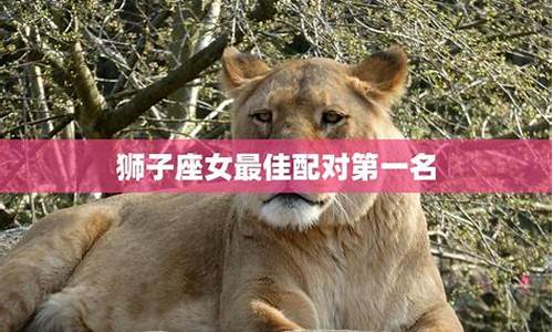 狮子座最佳配对第一名是谁-狮子座配谁最好