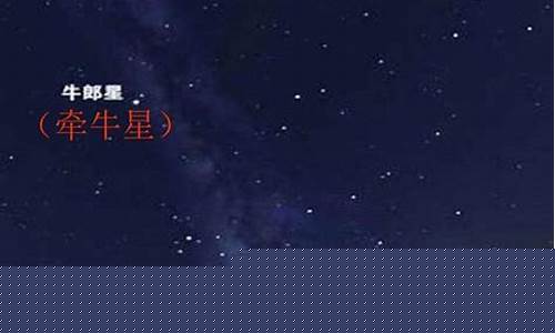 第二人生牛郎星属于什么星座-第二人生性别