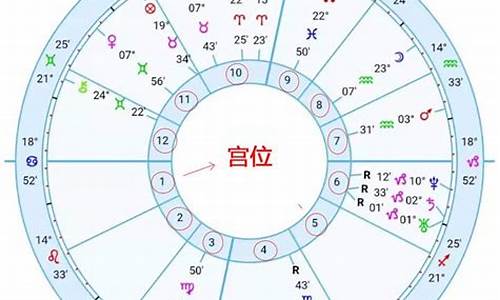 星盘宫位查询分析-星盘宫位查询分析图
