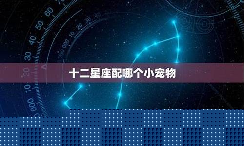 十二星座配哪个小宠物-十二星座配哪个小宠物最好