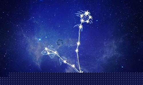 失去双鱼女会疯的星座-最镇得住双鱼座的星座