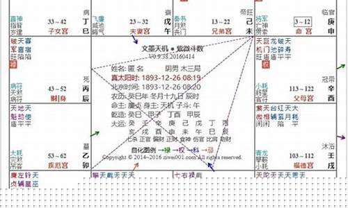 紫微斗数命格详批-紫微斗数各种命格