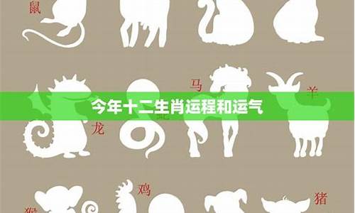 十二生肖今天的运气怎么样-十二生肖今天的运气怎么样呢