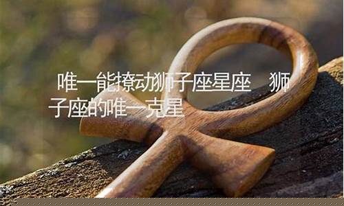 唯一能撩动狮子座的星座-撩狮子座的情话