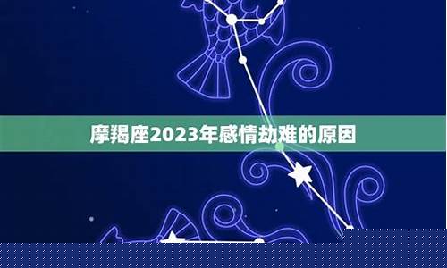 摩羯座的情劫是谁-摩羯座情种