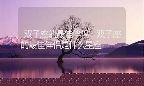 双子座最佳伴侣星座-双子座的最佳匹配对象是谁