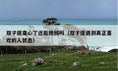 双子座变心了还能挽回吗-双子座突然变了一个人