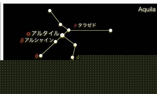 aqvarious星座-aquila星座