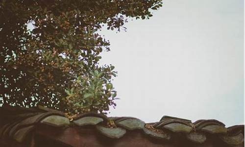 水瓶座的三大克星-水瓶座的三大克星是哪三个