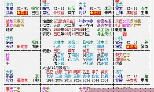 紫薇命盘排盘及解释-紫薇命盘排盘详解与分析