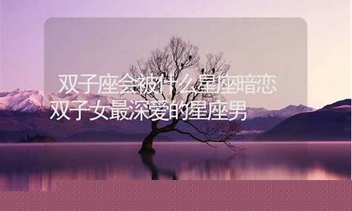 什么星座会暗恋双子座-什么星座暗恋双子座女