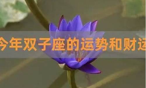 双子座今天财富-今天双子座的财运查询